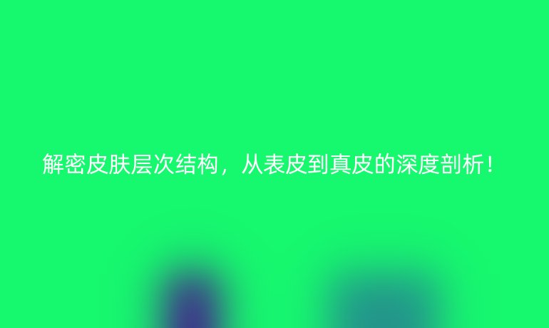 解密皮膚層次結構,從表皮到真皮的深度剖析!
